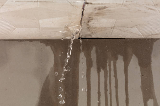 Professional Structural Drying technician working in Lone Jack, MO